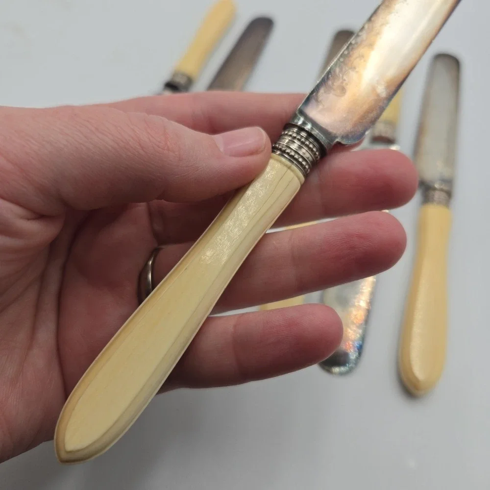 Vintage Dinner Butter‎ Knife Set EPNS Ornate Blade 6 Pc Rare Set Celluloid